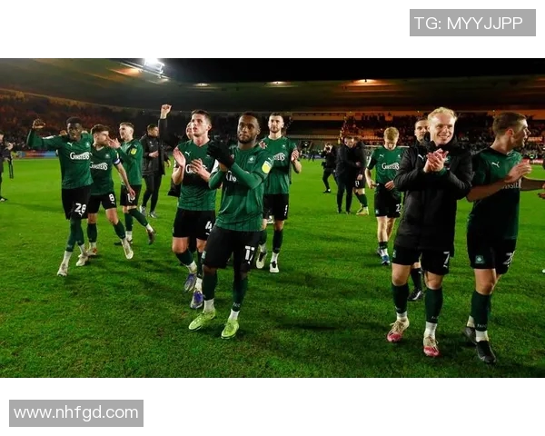 加的夫城与罗瑟汉姆的激烈对决揭示英冠赛季的竞争格局