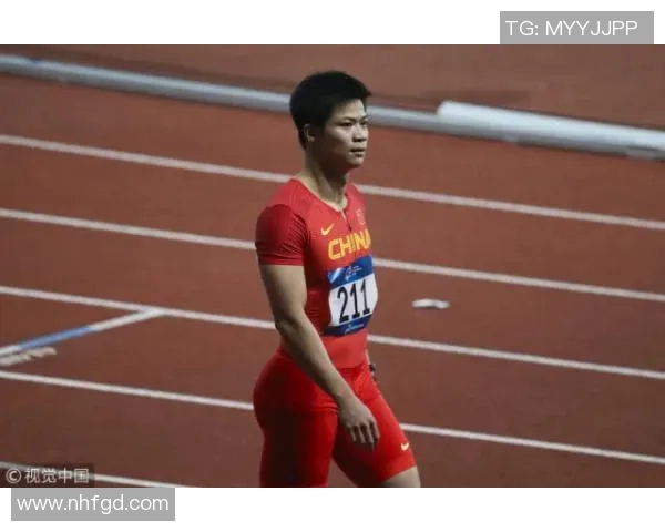 赵强的羽毛球人生深度对话探索运动背后的坚持与梦想